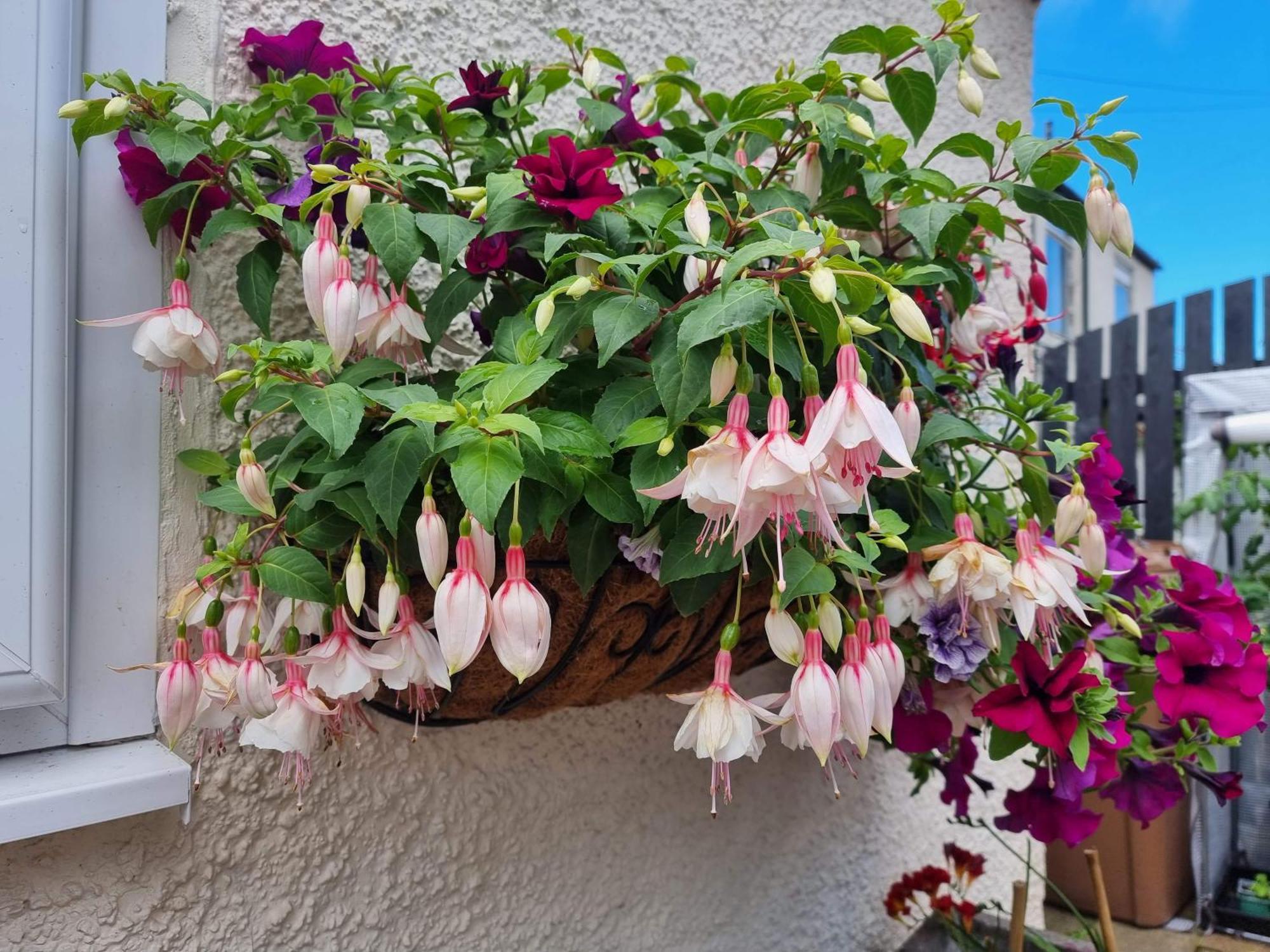 St Leonards Guest House ลาร์กส์ ภายนอก รูปภาพ